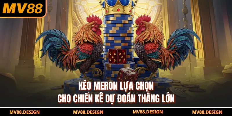 ĐÁ GÀ Kèo Meron lựa chọn cho chiến kê dự đoán thắng lớn