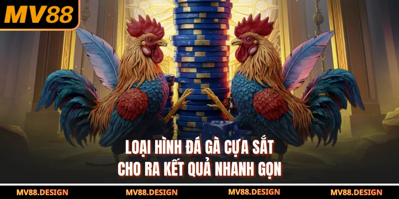 ĐÁ GÀ Loại hình đá gà cựa sắt cho ra kết quả nhanh gọn