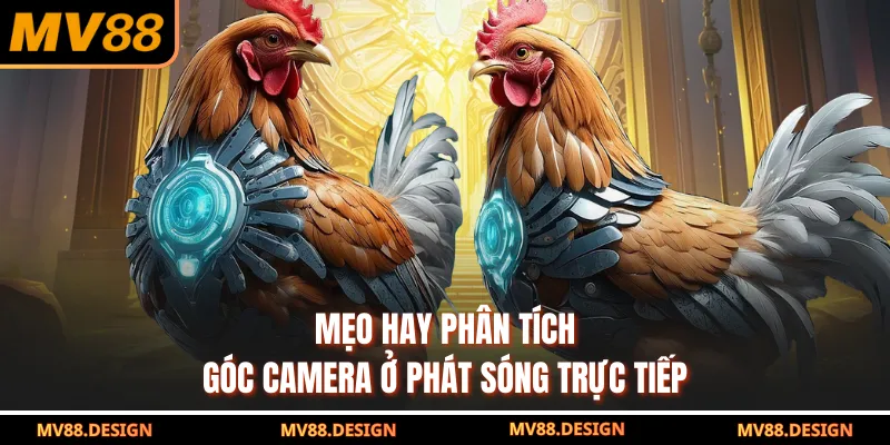 ĐÁ GÀ Mẹo hay phân tích góc camera ở phát sóng trực tiếp